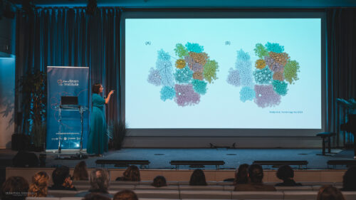 web institut du cerveau symposium 13