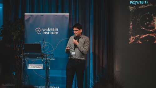 web institut du cerveau symposium 59